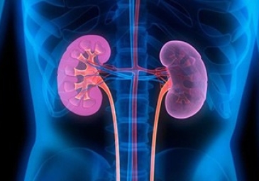 Kidney Surgery