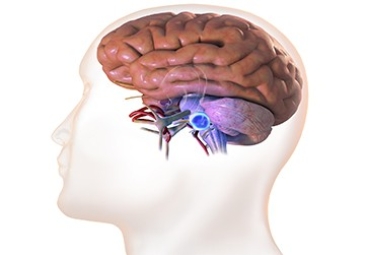 Acoustic Neuroma