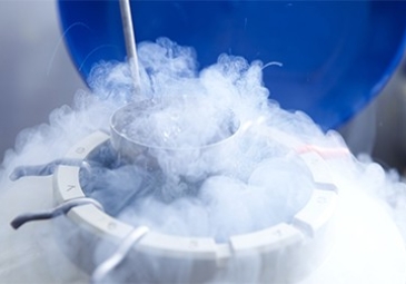 Embryo Freezing