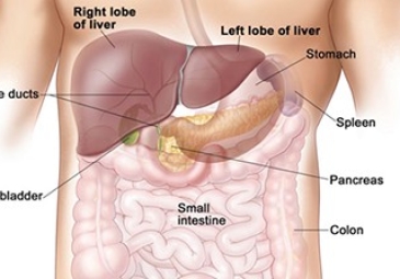 Laparoscopic Liver Resection