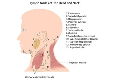 Lymph Node Dissection