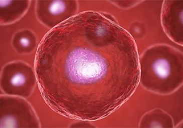 Stem Cell Therapy