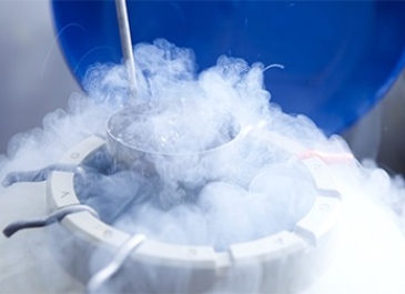 Embryo Freezing