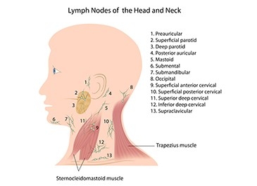 Lymph Node Dissection